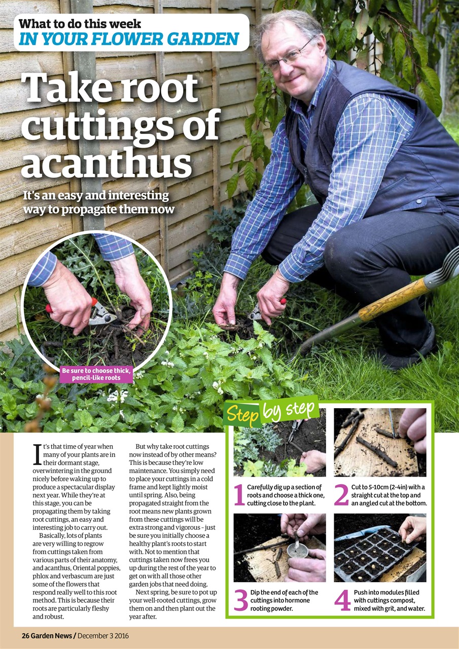 Garden News Preview Pages