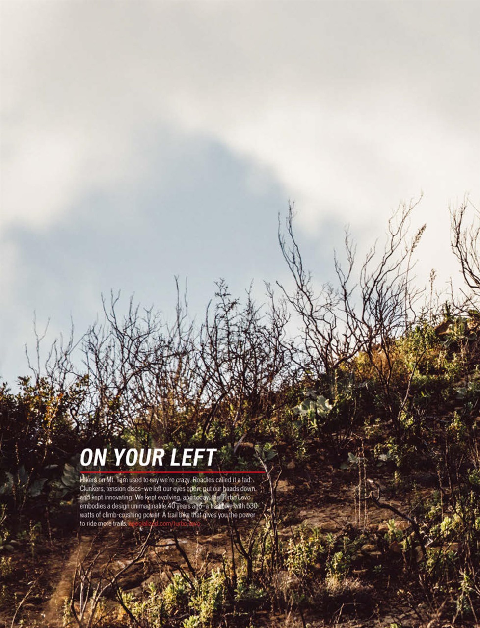 Singletrack Preview Pages