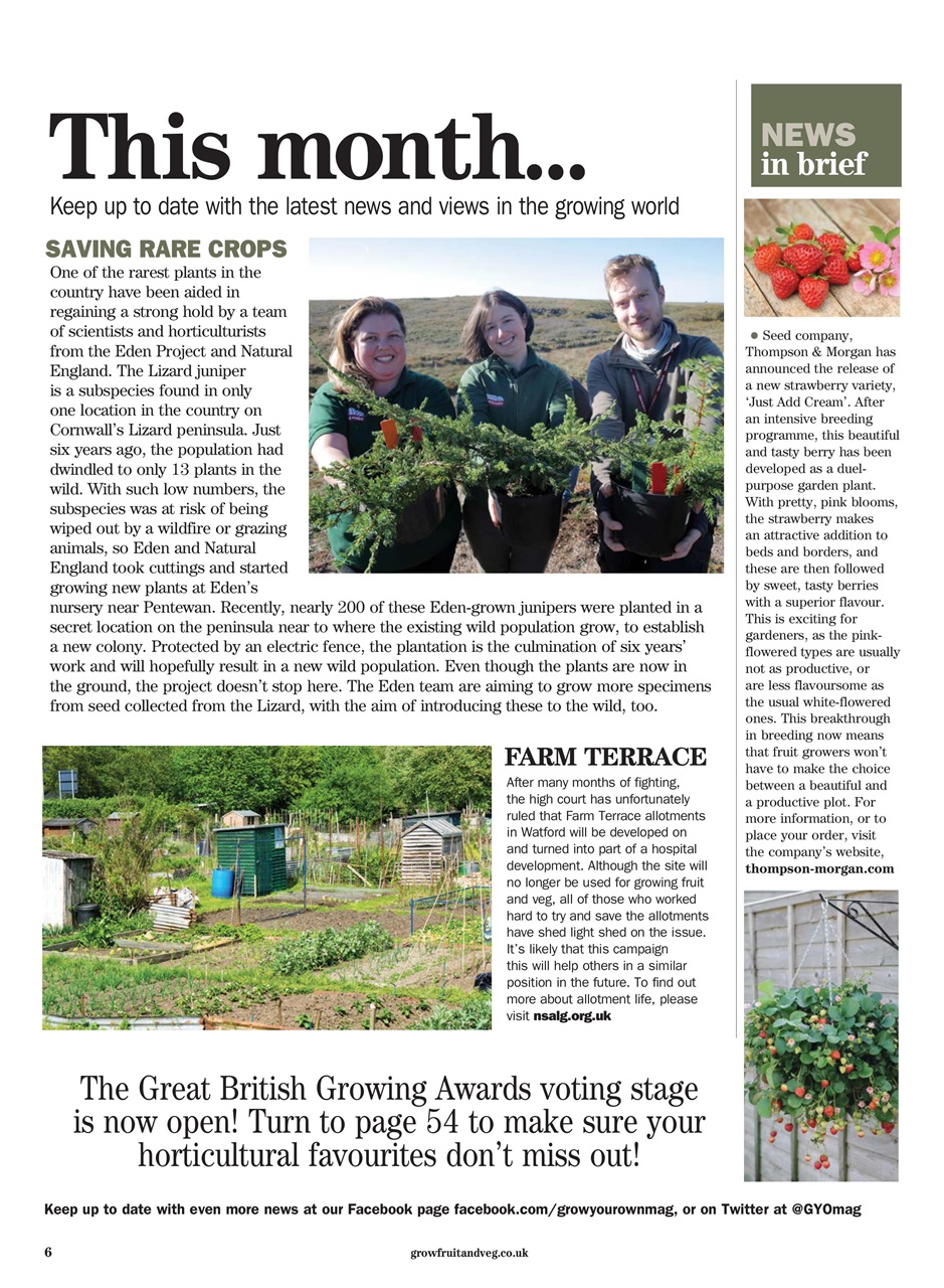 Grow Your Own Preview Pages