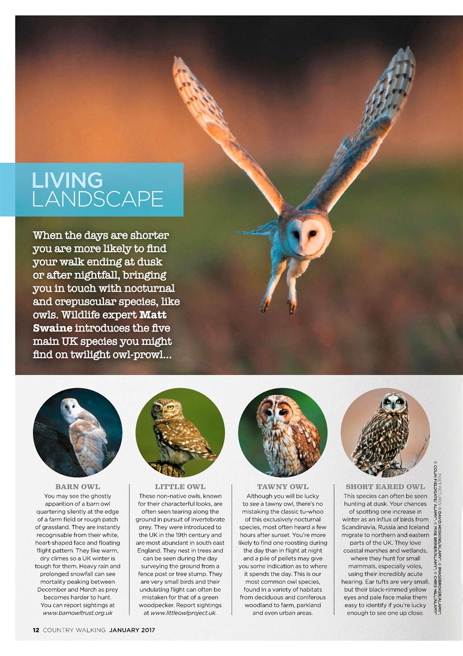 Country Walking Preview Pages