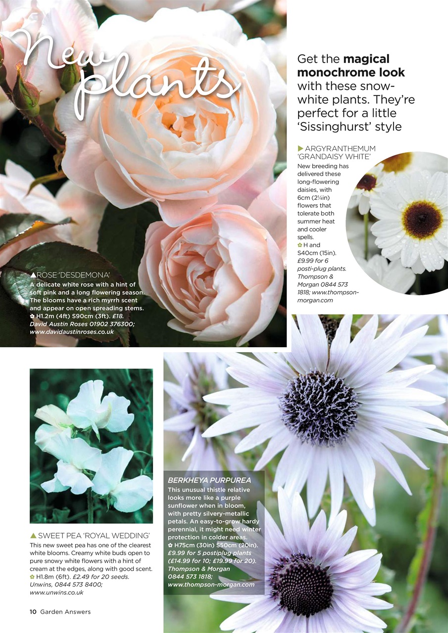 Garden Answers Preview Pages
