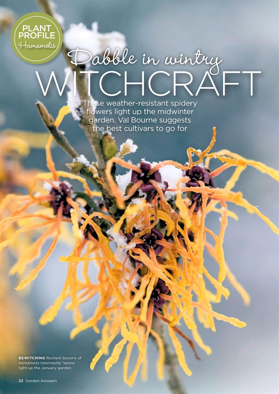 Garden Answers Preview Pages