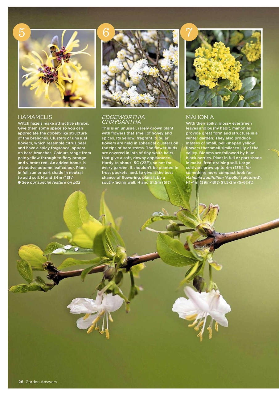Garden Answers Preview Pages