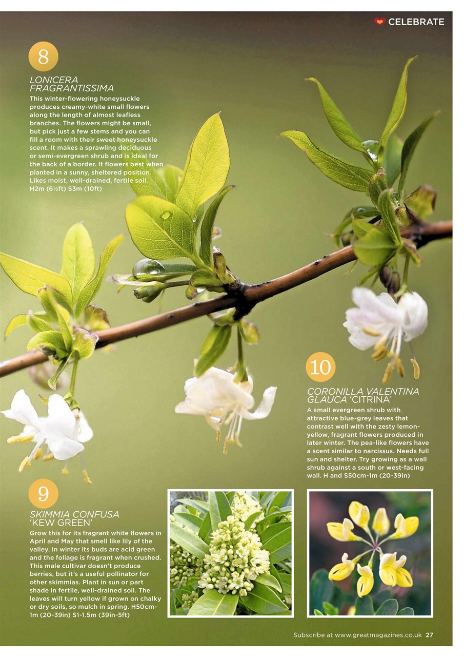 Garden Answers Preview Pages