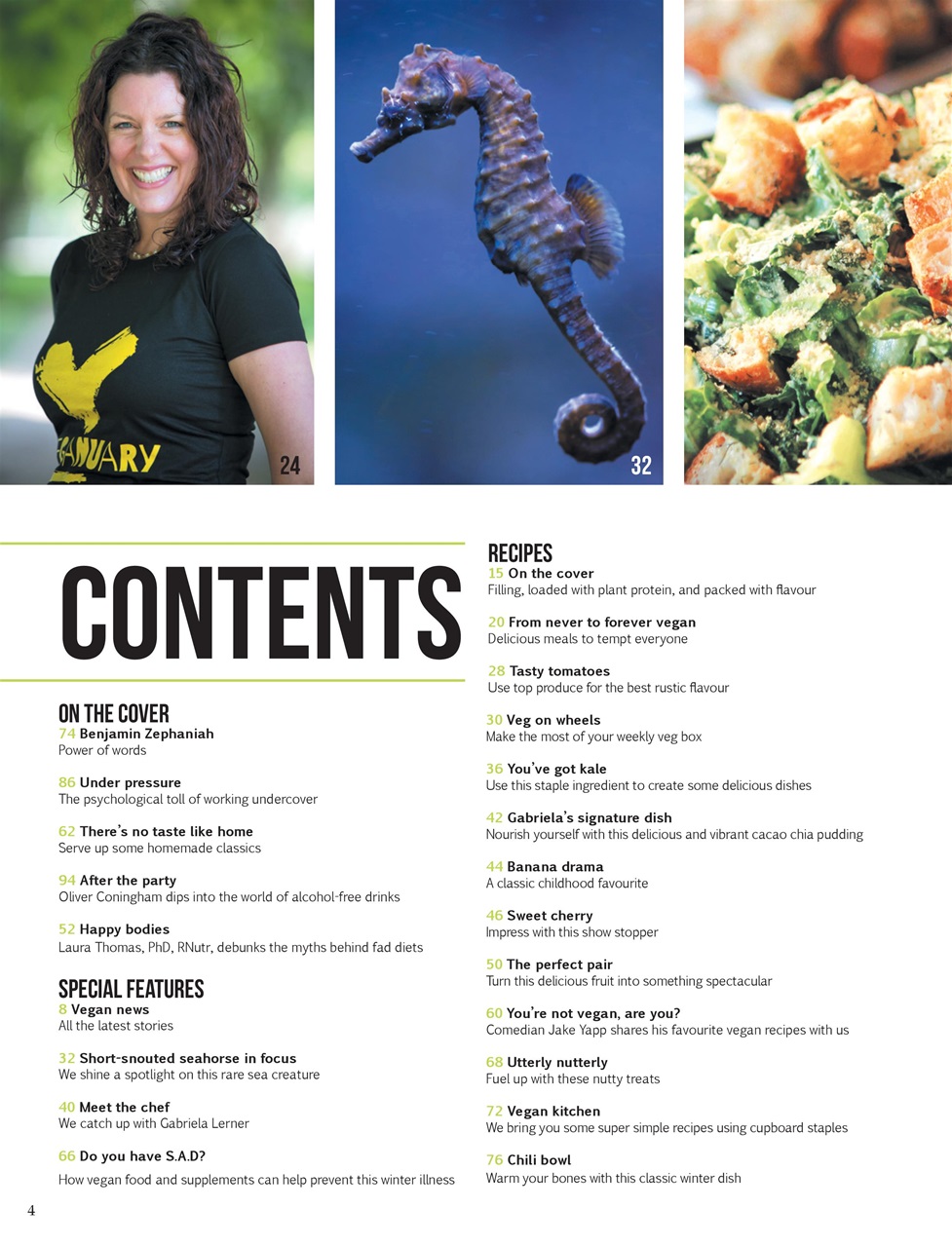 Vegan Life Preview Pages