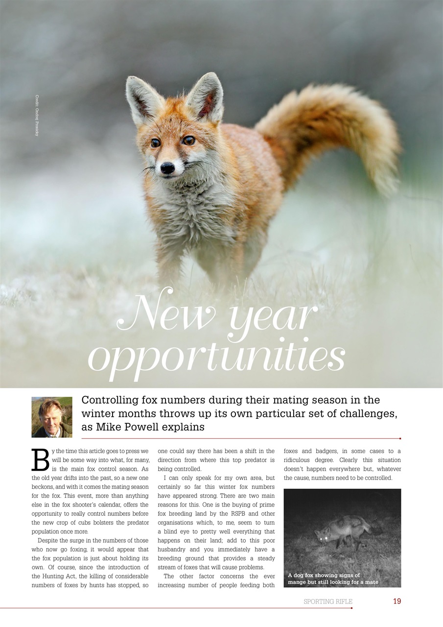 Sporting Rifle Preview Pages