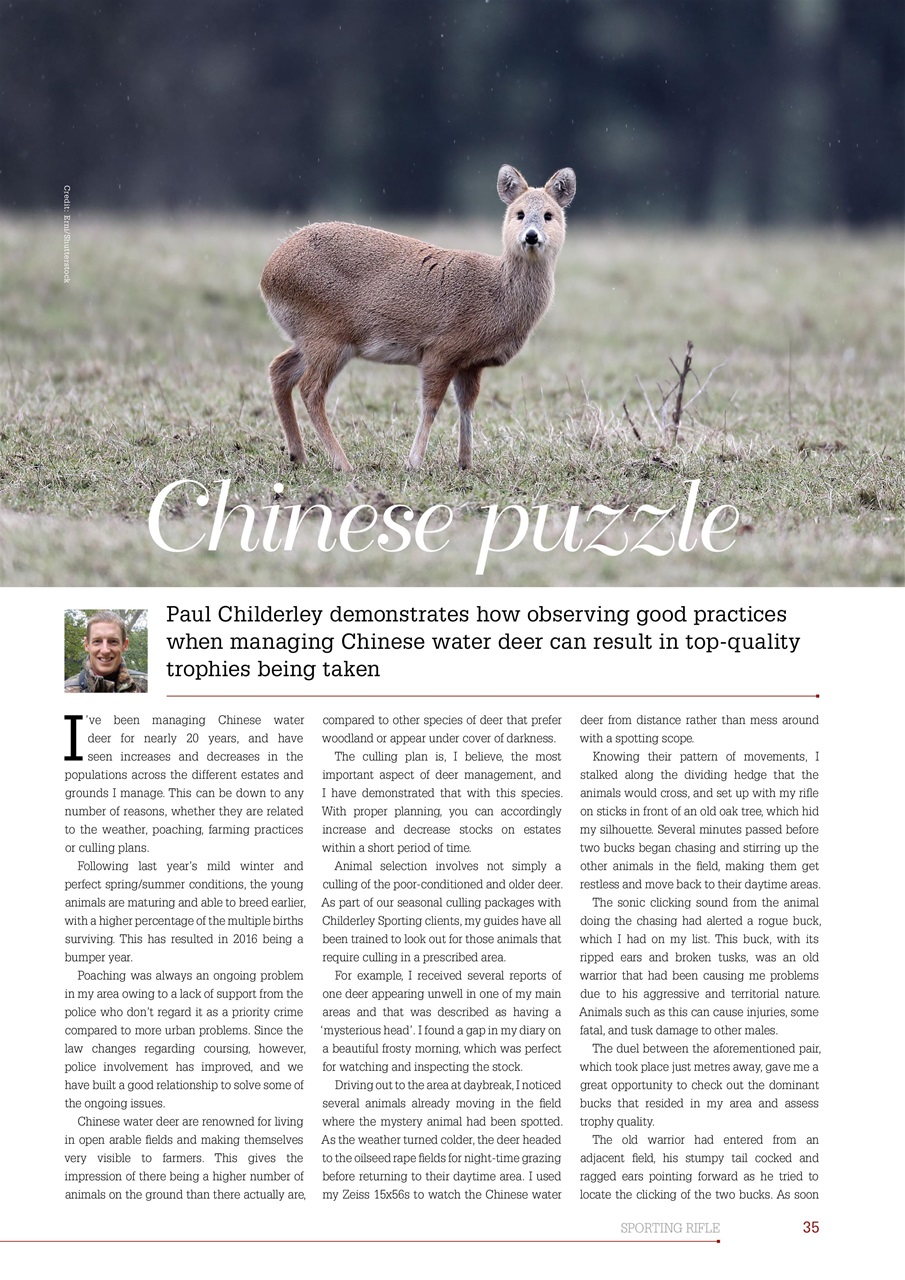 Sporting Rifle Preview Pages