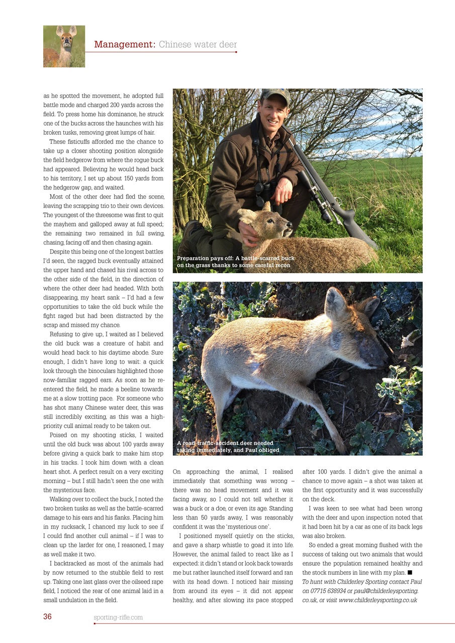 Sporting Rifle Preview Pages