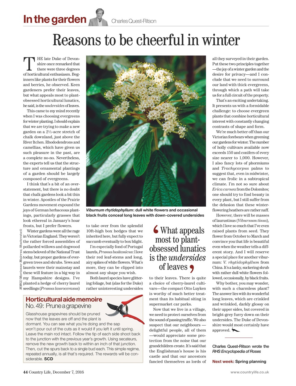 Country Life Preview Pages
