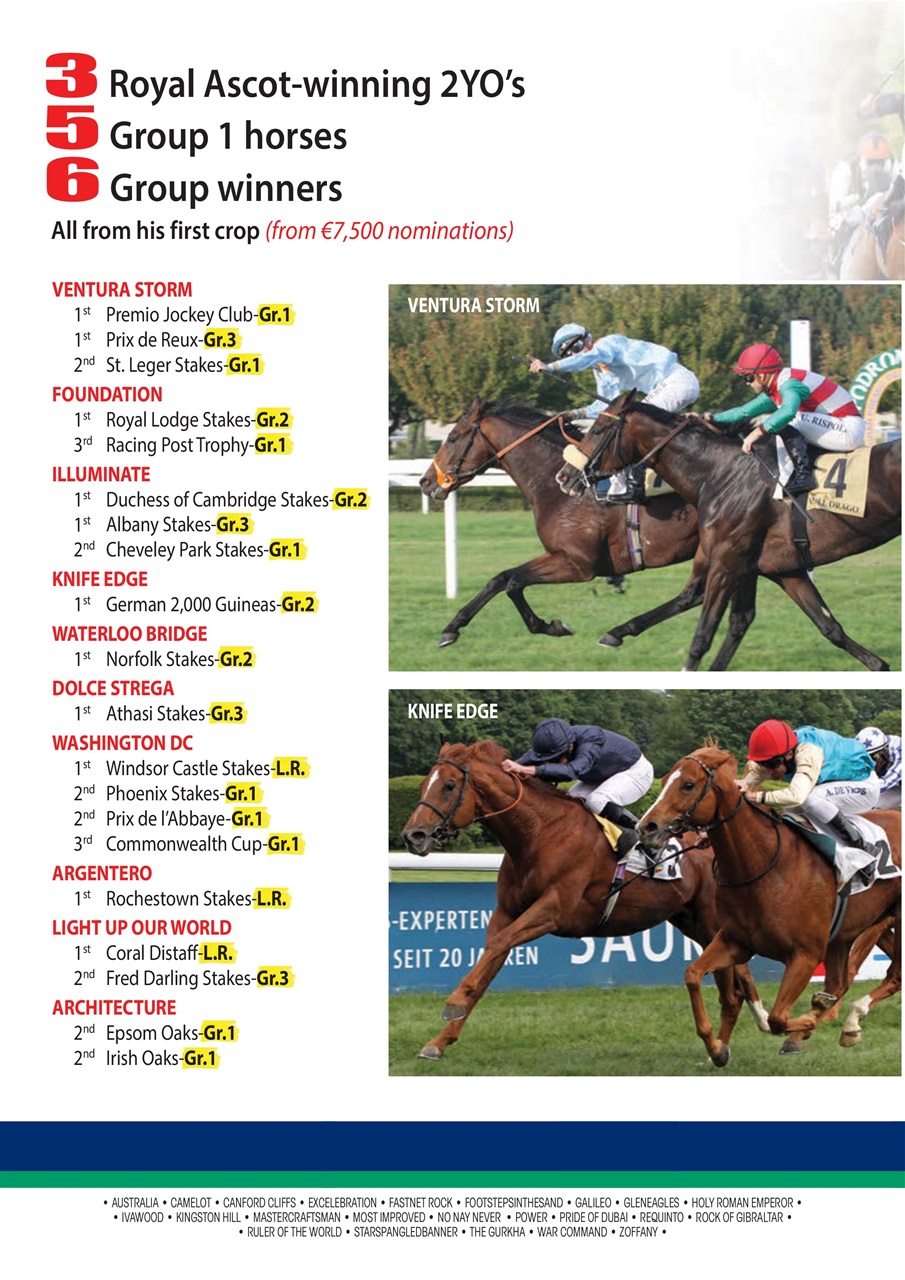 The Owner Breeder Preview Pages