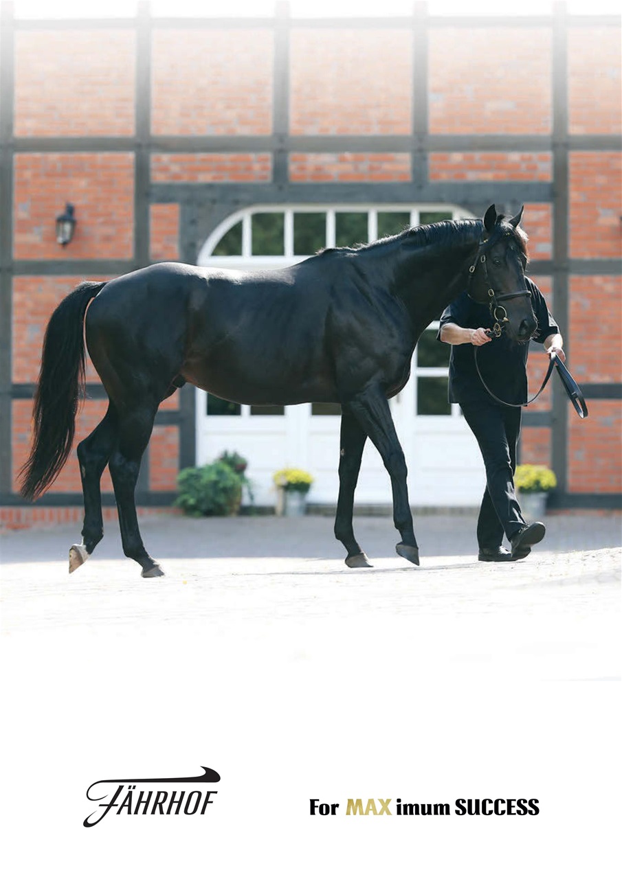 The Owner Breeder Preview Pages