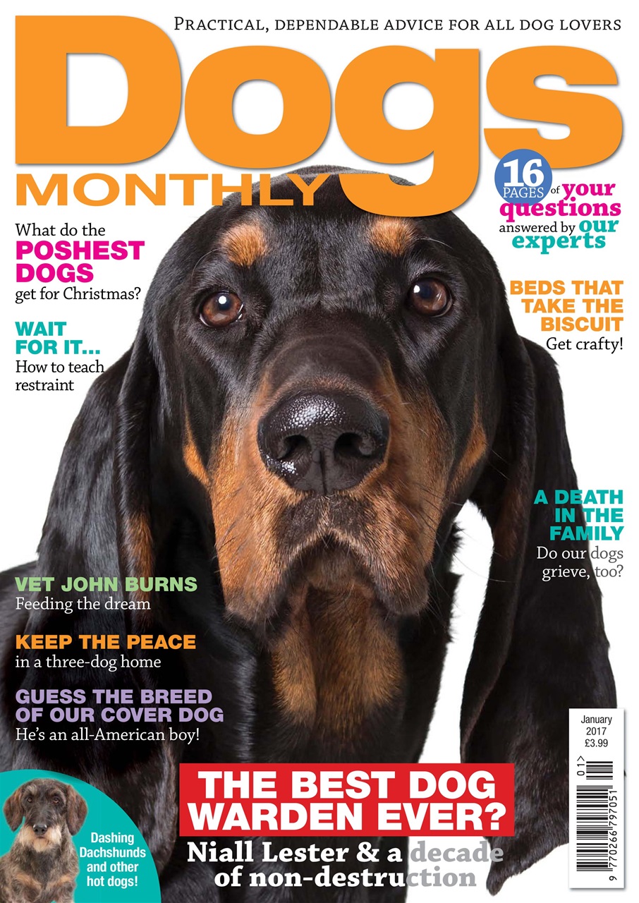 Dogs Monthly Preview Pages