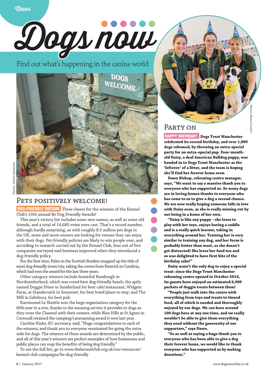 Dogs Monthly Preview Pages