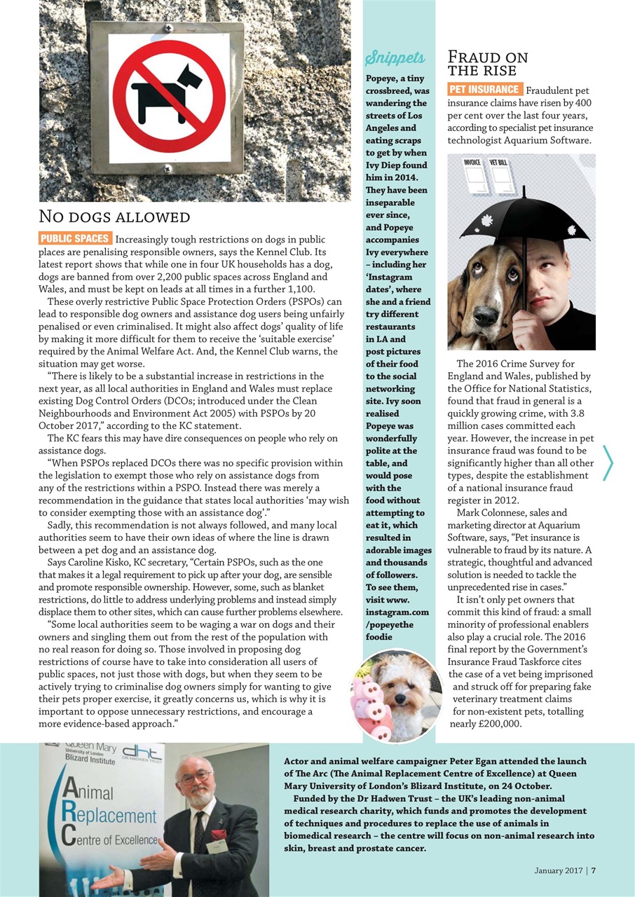 Dogs Monthly Preview Pages