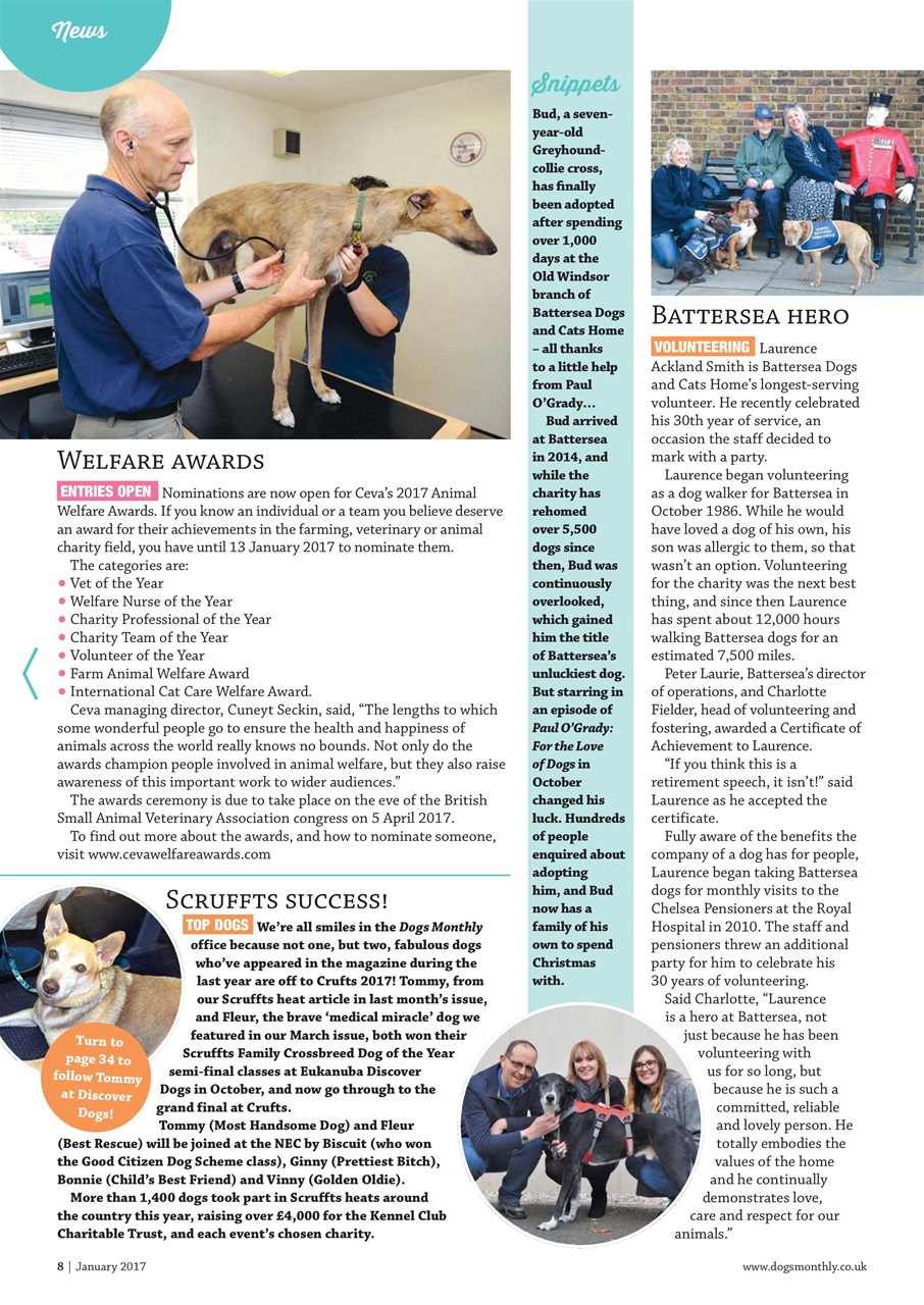 Dogs Monthly Preview Pages