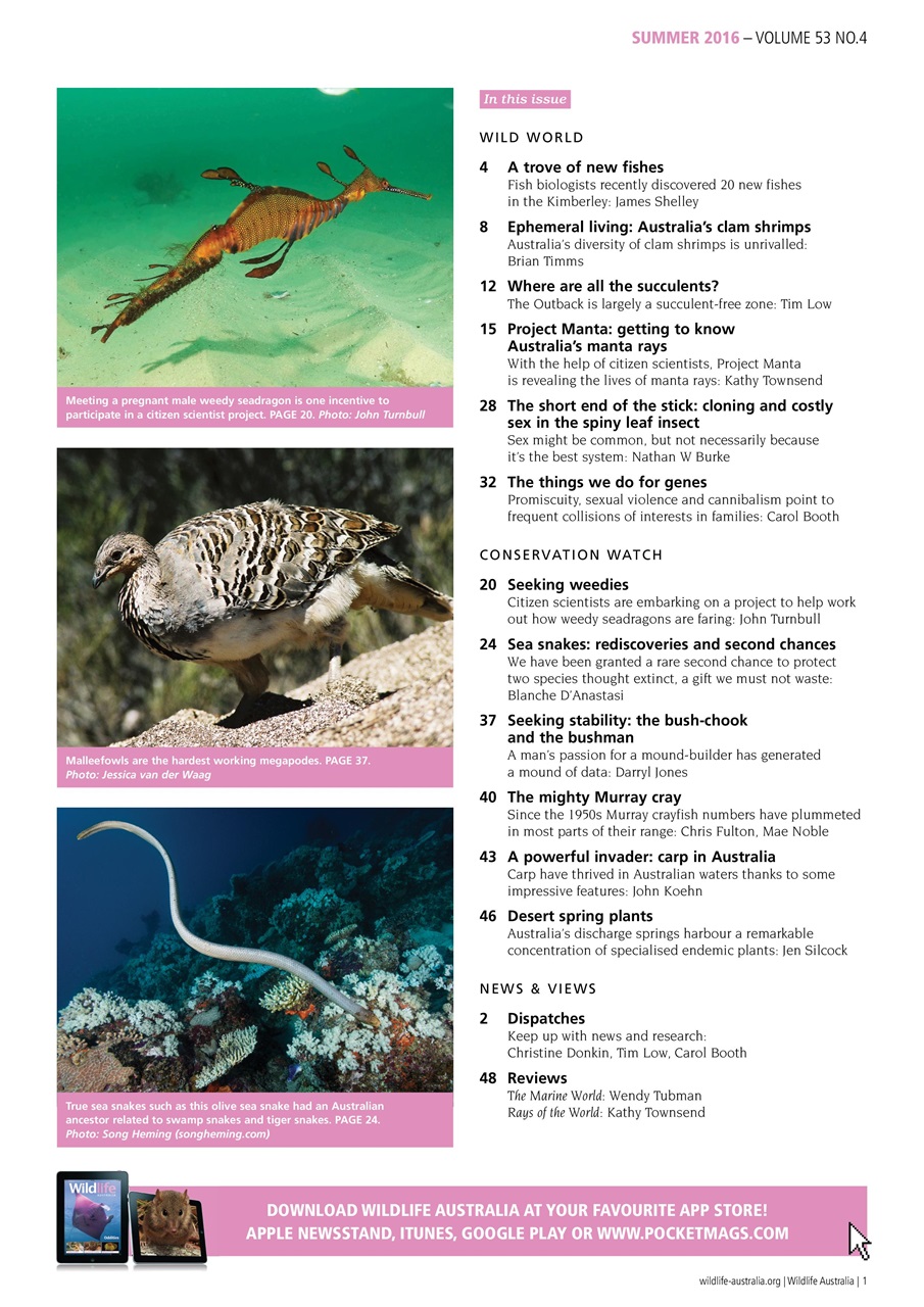 Wildlife Australia Preview Pages