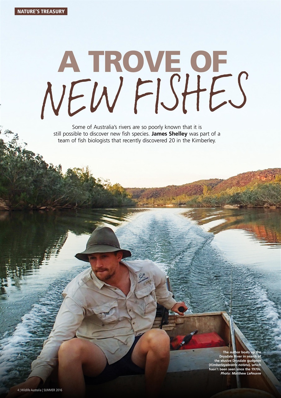 Wildlife Australia Preview Pages