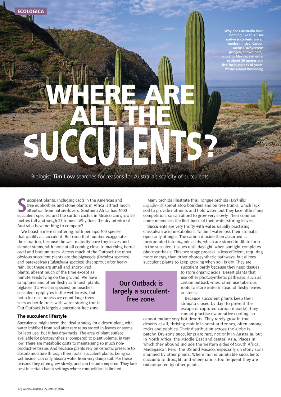 Wildlife Australia Preview Pages