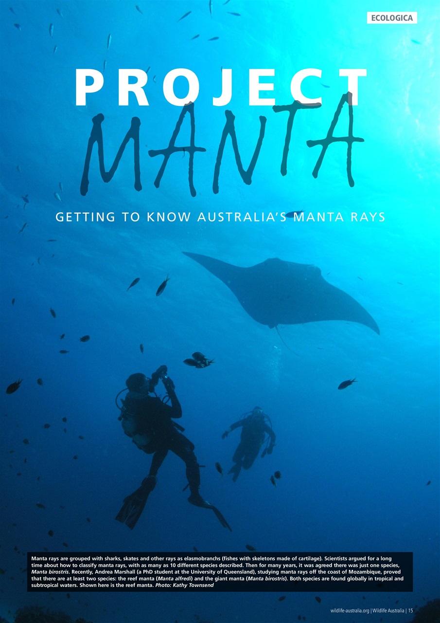 Wildlife Australia Preview Pages