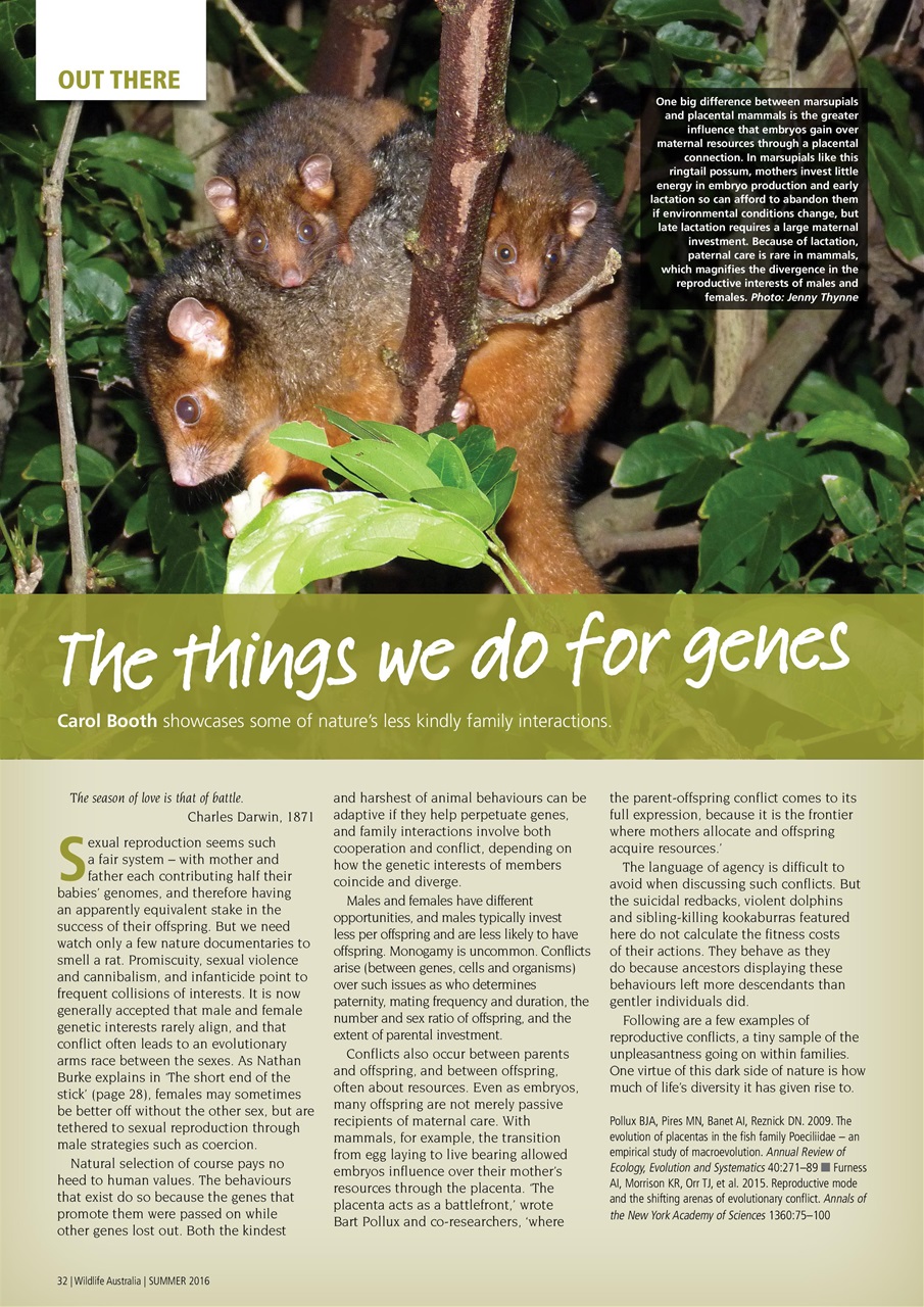 Wildlife Australia Preview Pages
