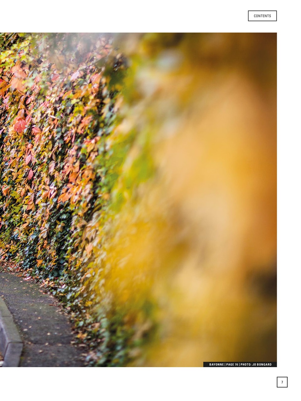 Electronic Sound Preview Pages