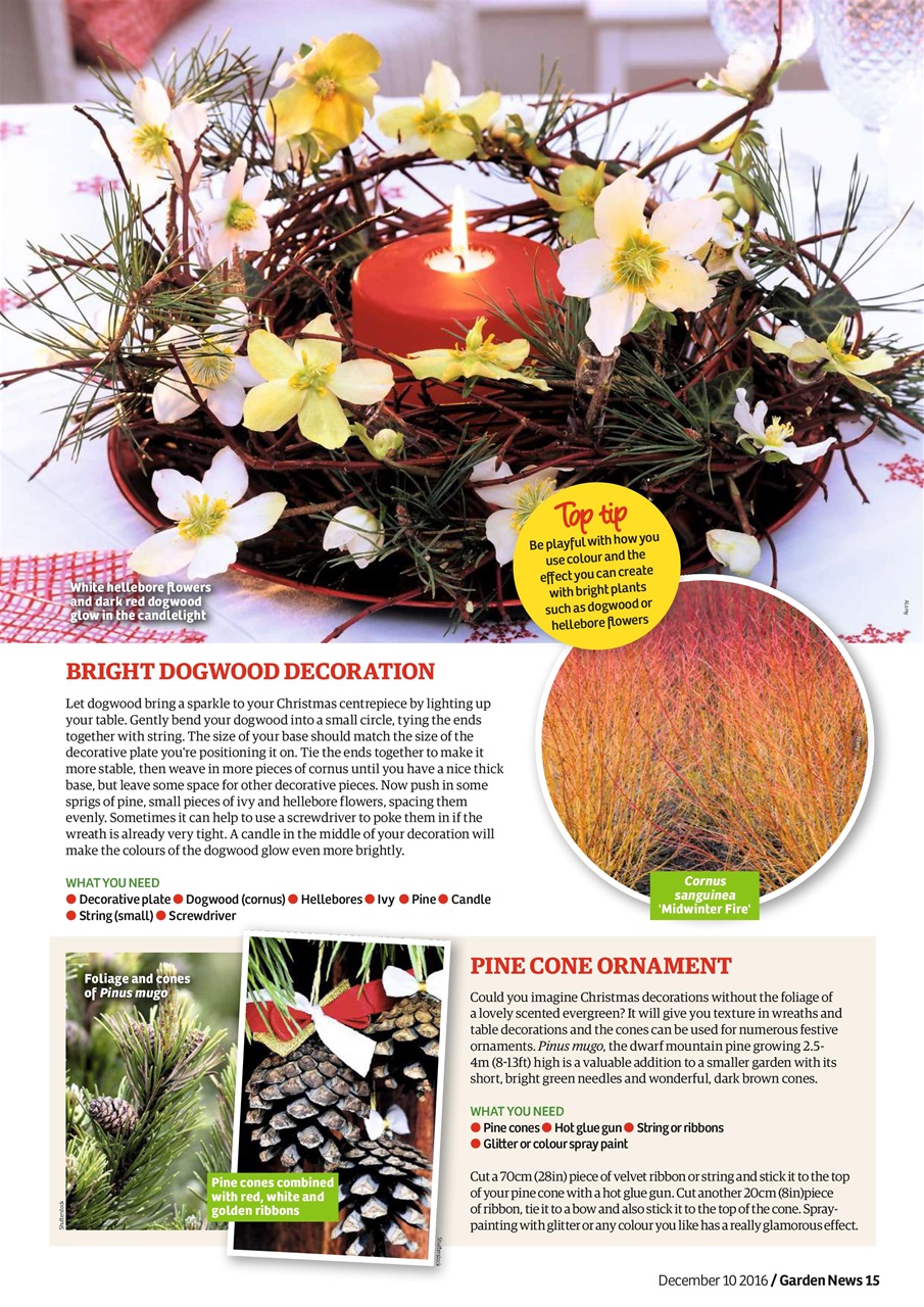 Garden News Preview Pages