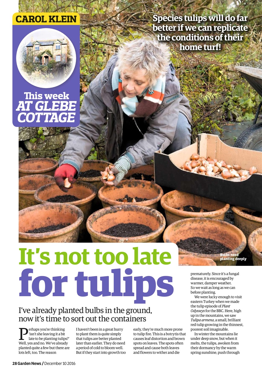 Garden News Preview Pages