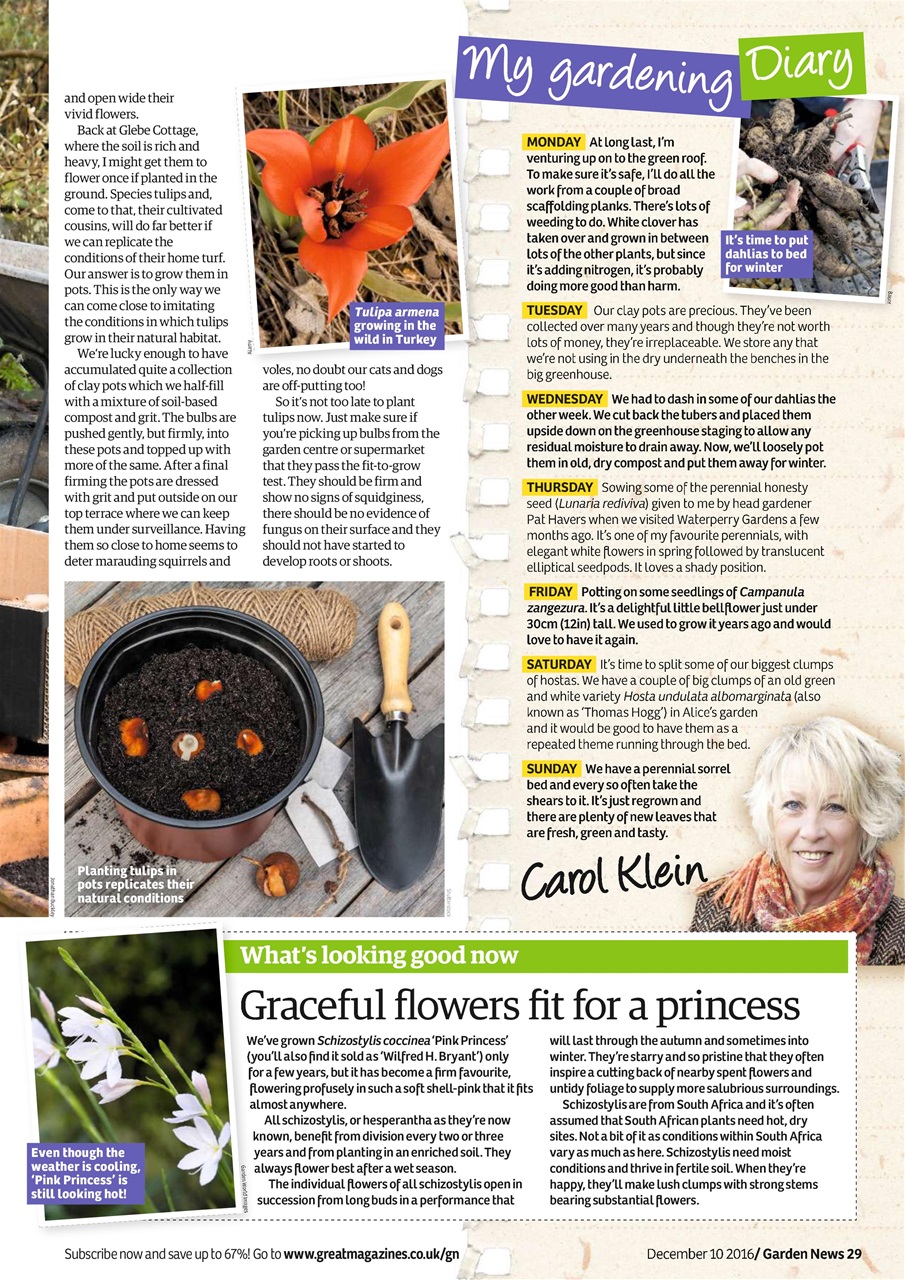 Garden News Preview Pages