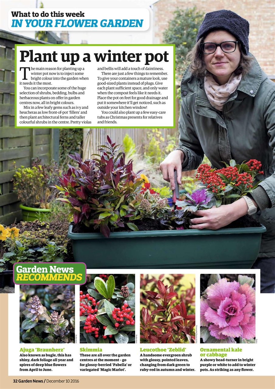 Garden News Preview Pages