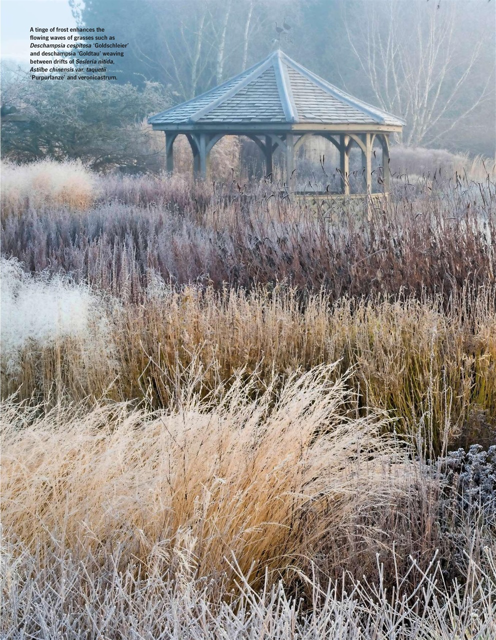 LandScape Preview Pages