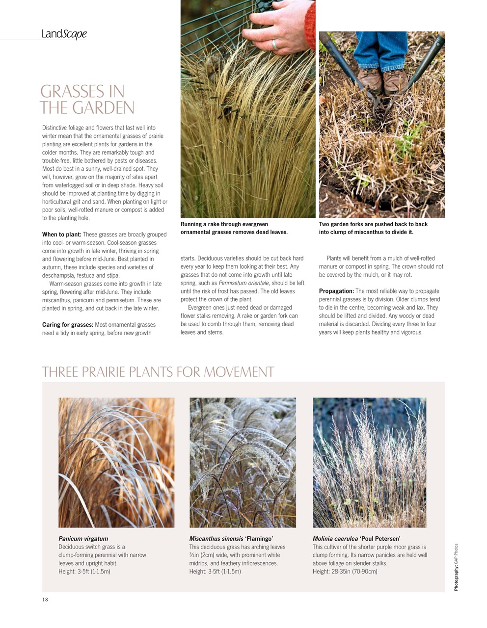 LandScape Preview Pages