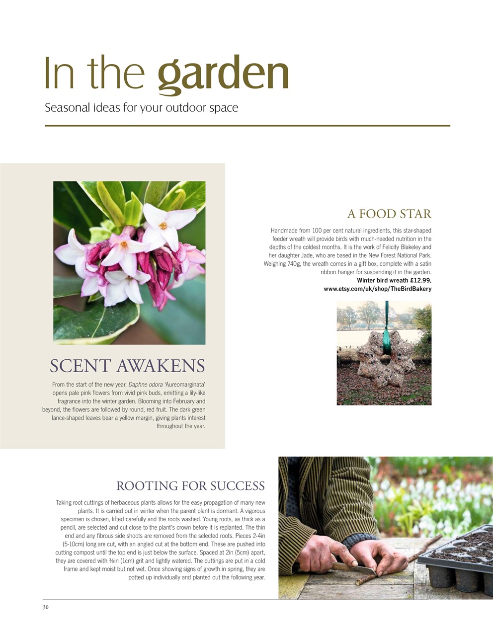 LandScape Preview Pages