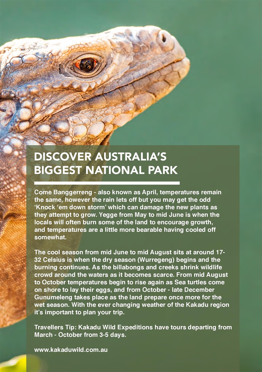 BBM Live Preview Pages