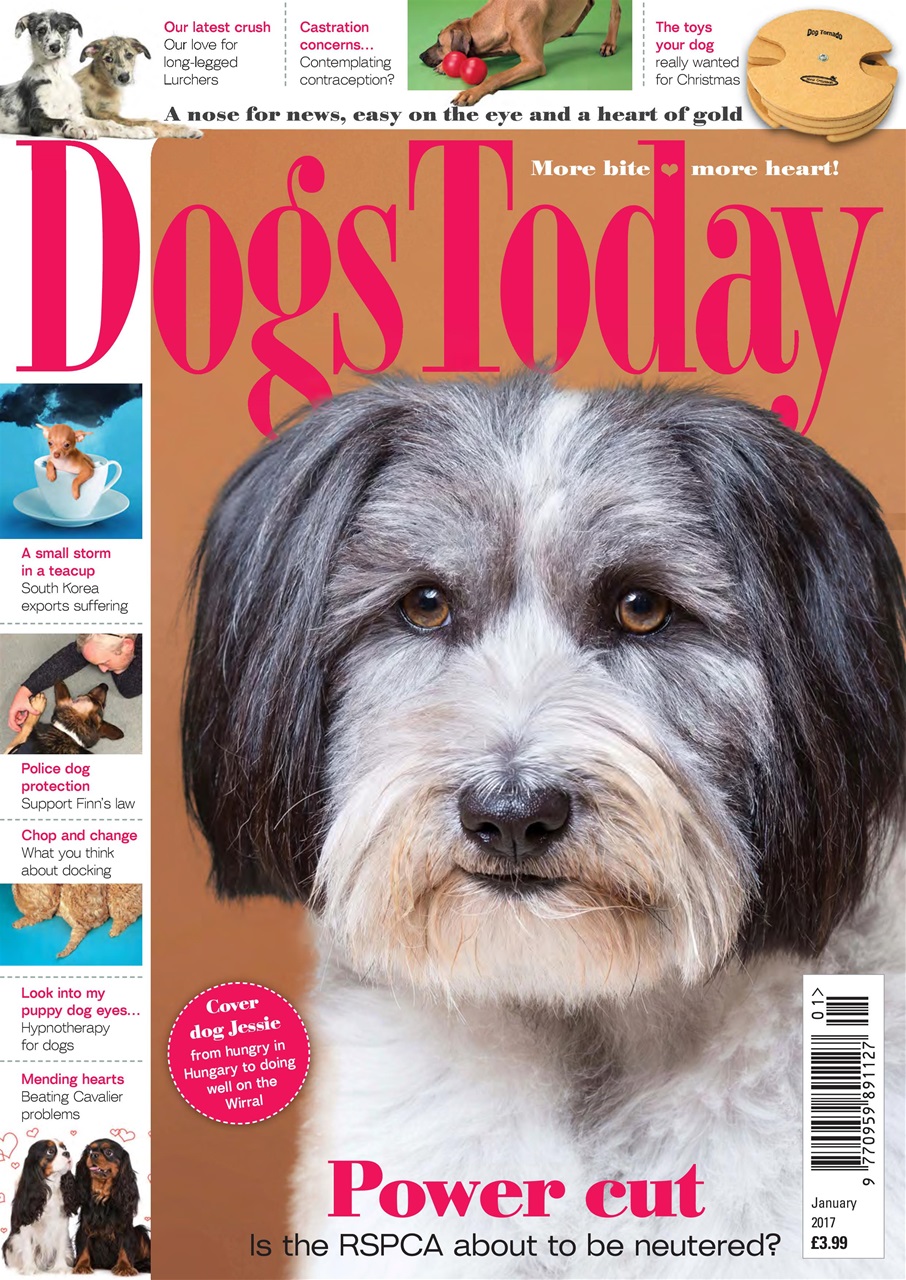Dogs Today Magazine Preview Pages