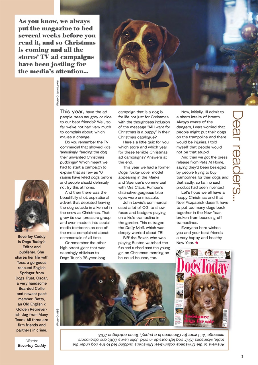 Dogs Today Magazine Preview Pages