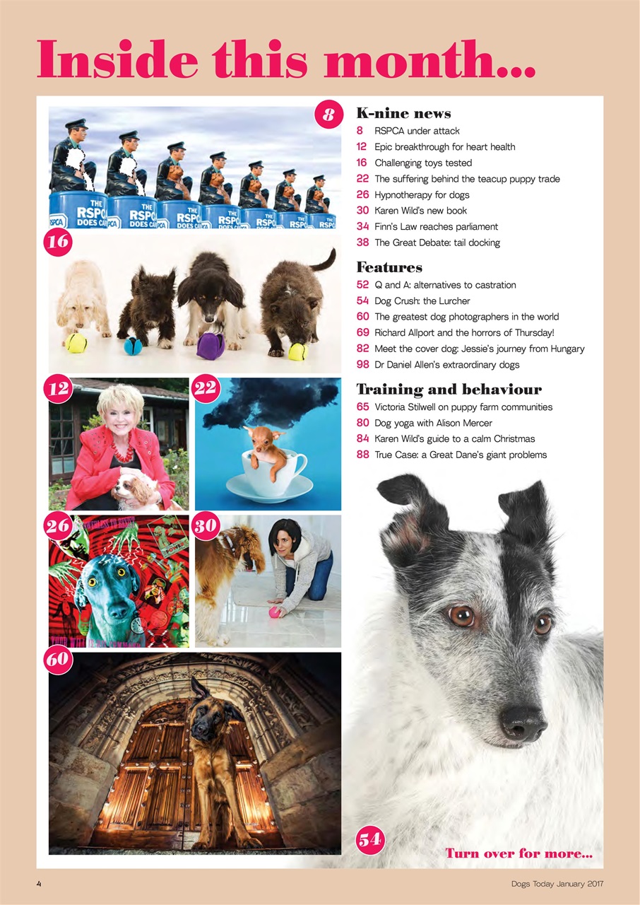 Dogs Today Magazine Preview Pages