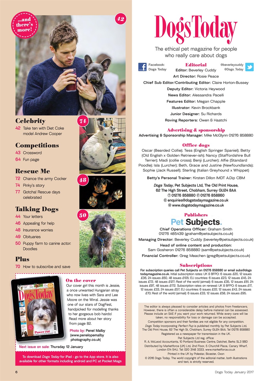 Dogs Today Magazine Preview Pages