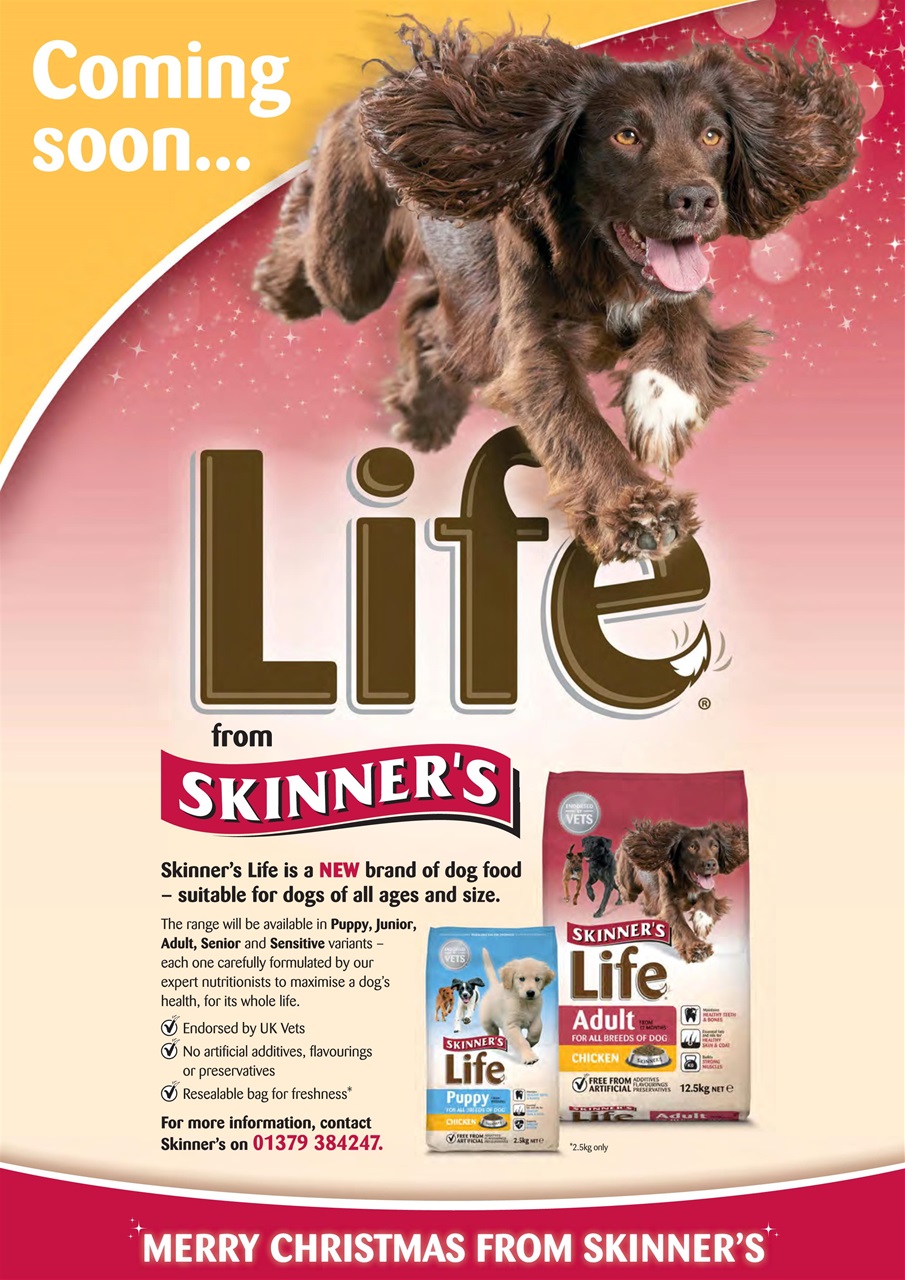 Dogs Today Magazine Preview Pages