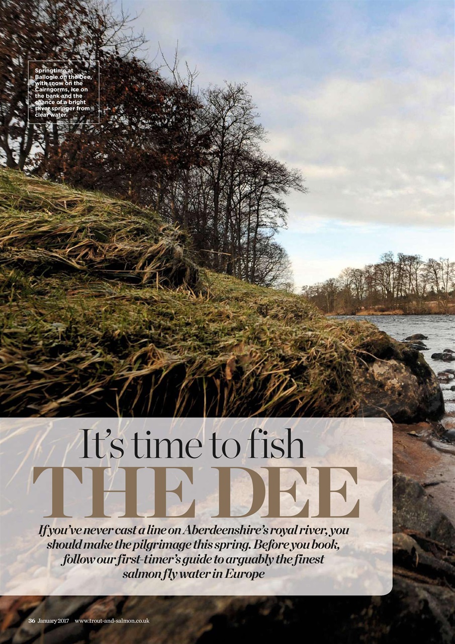 Trout & Salmon Preview Pages