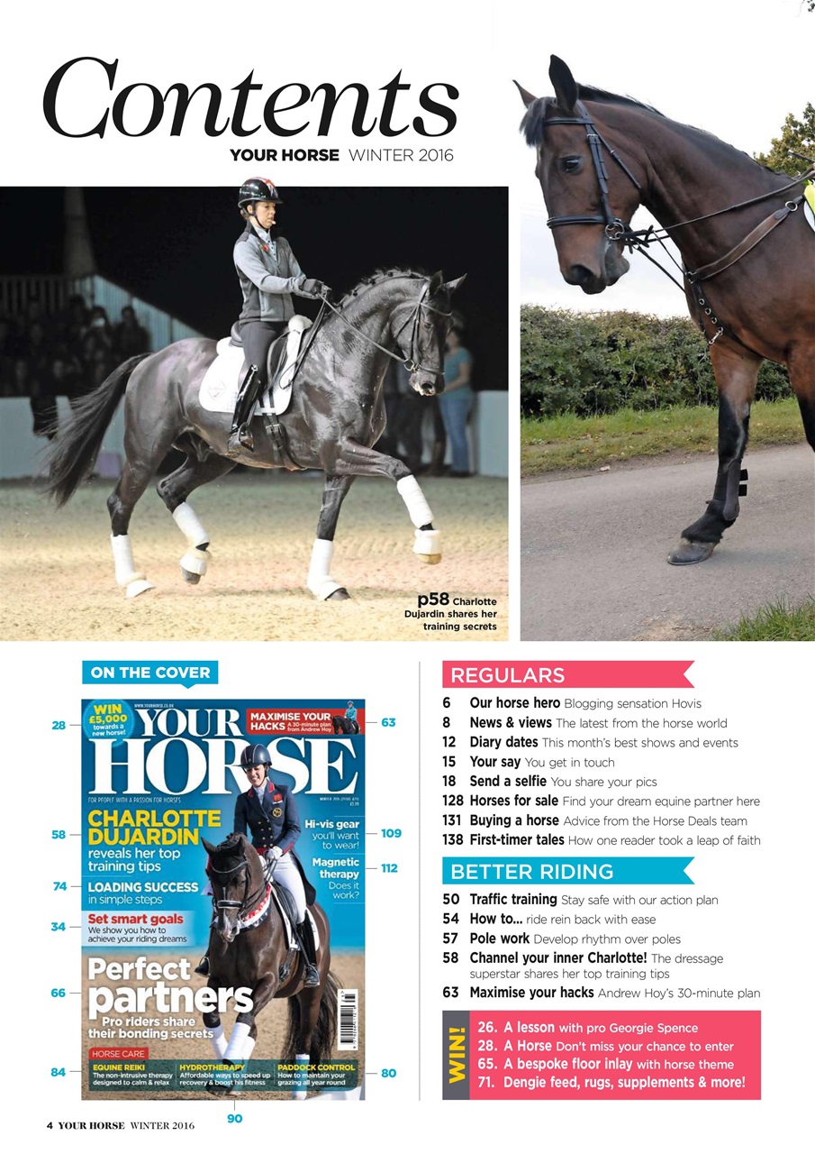 Your Horse Preview Pages