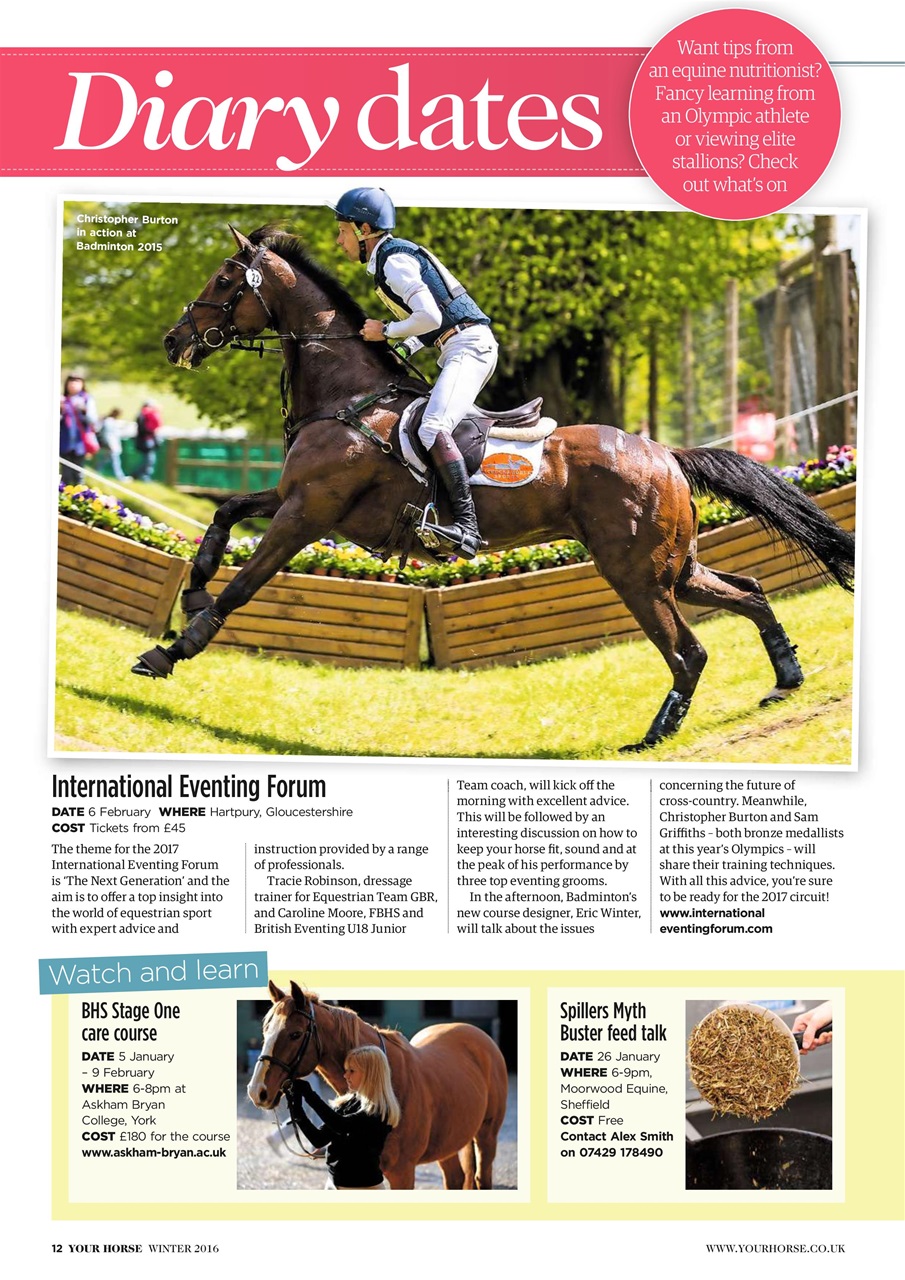 Your Horse Preview Pages