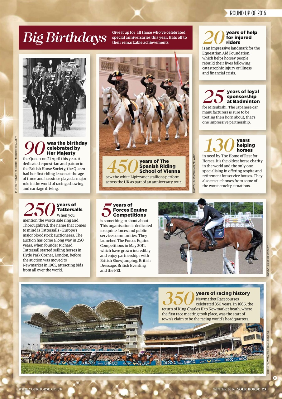 Your Horse Preview Pages