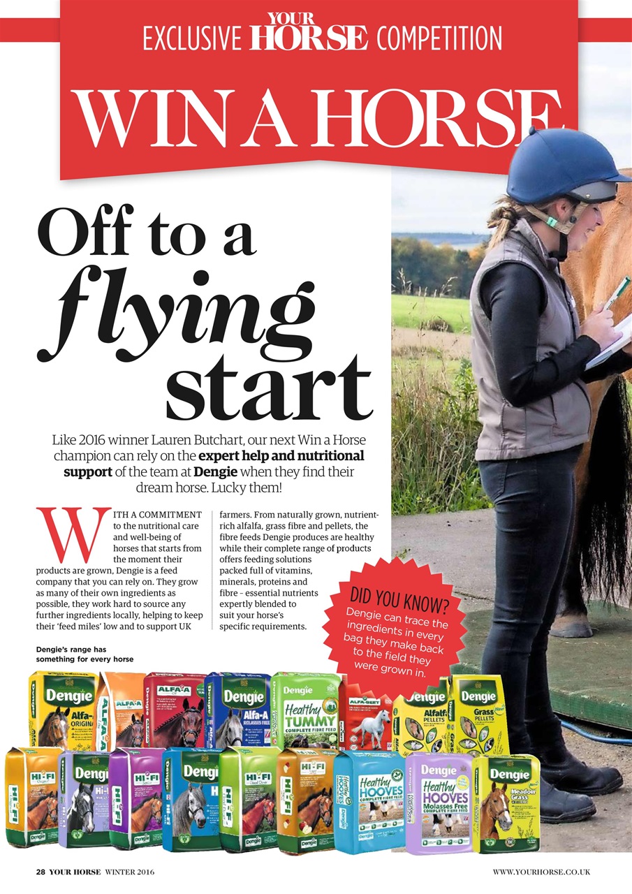 Your Horse Preview Pages