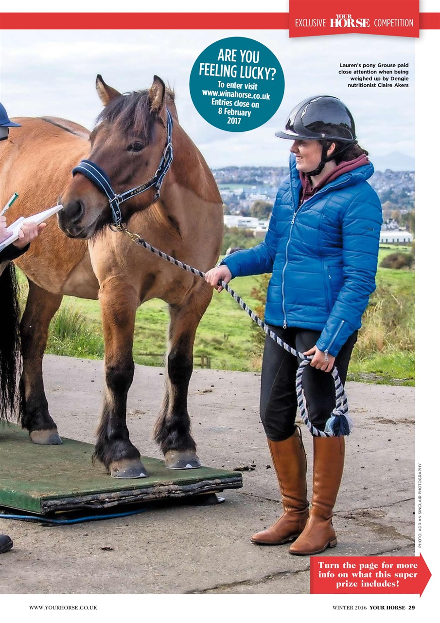 Your Horse Preview Pages