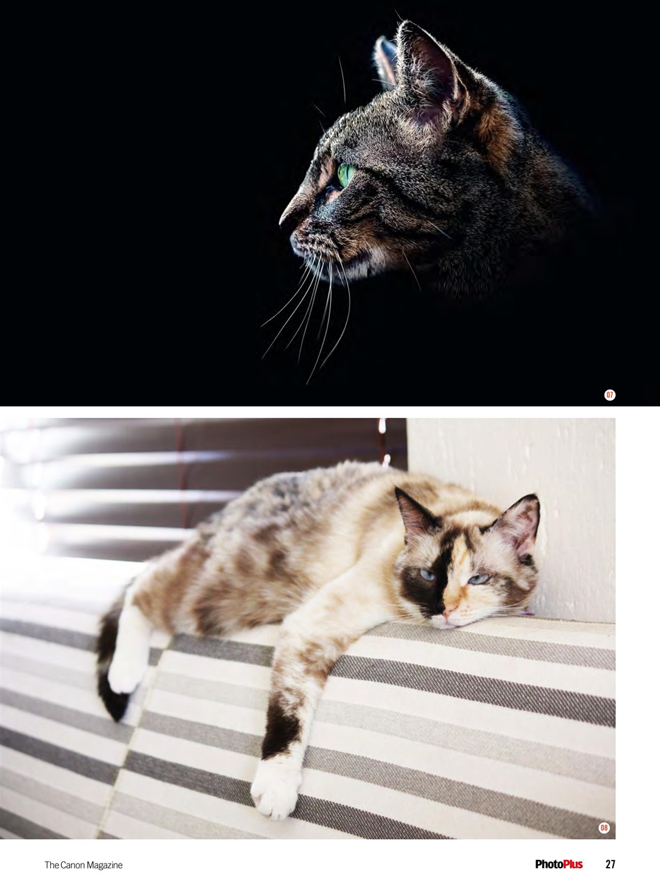 PhotoPlus Preview Pages