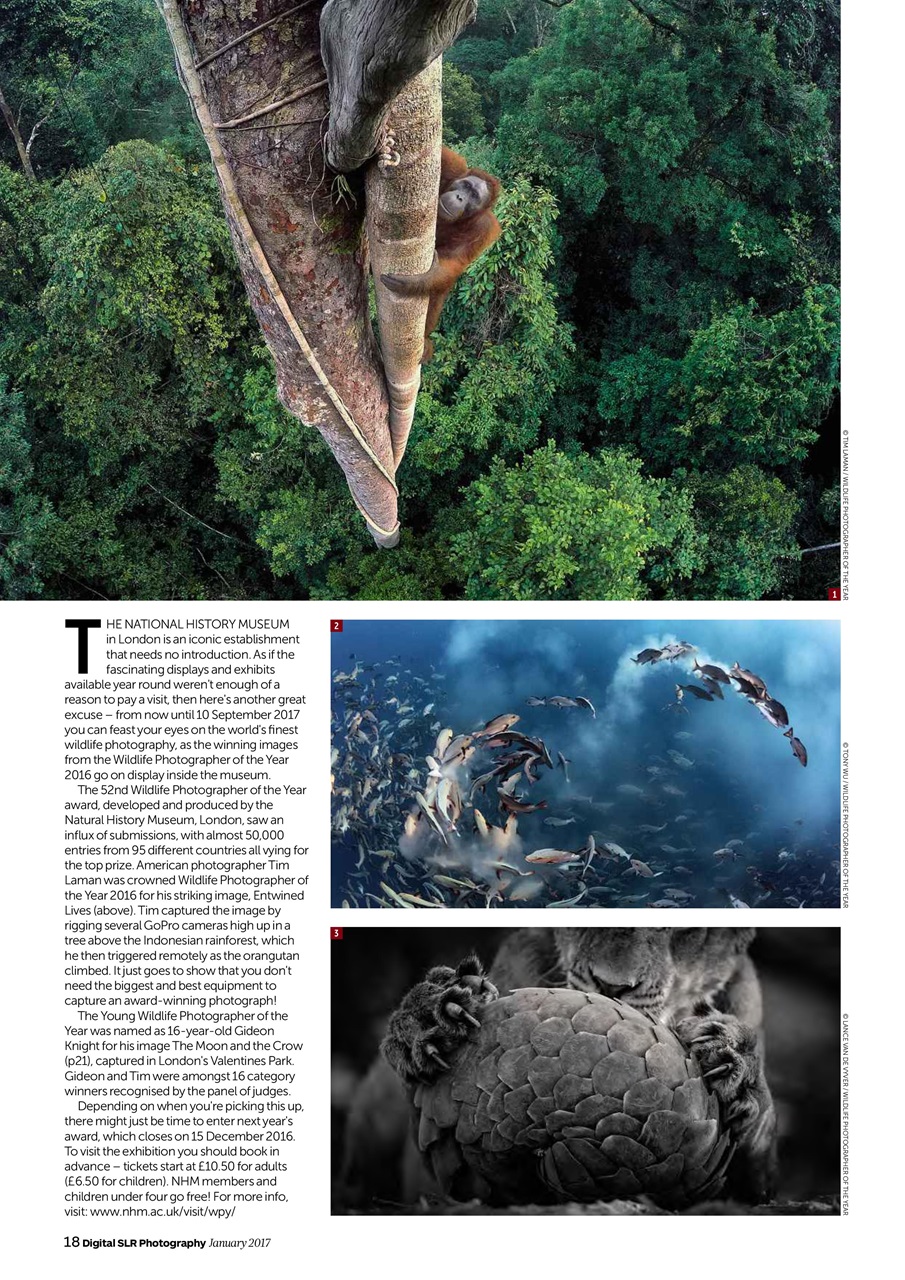 Digital SLR Photography Preview Pages