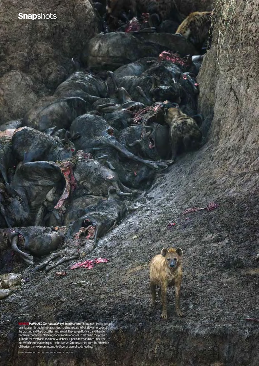 Digital SLR Photography Preview Pages