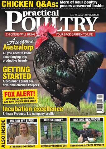 Practical Poultry issue No. 158 Getting Started