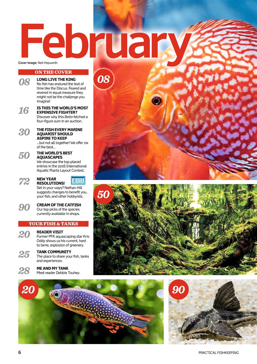 Practical Fishkeeping Preview Pages