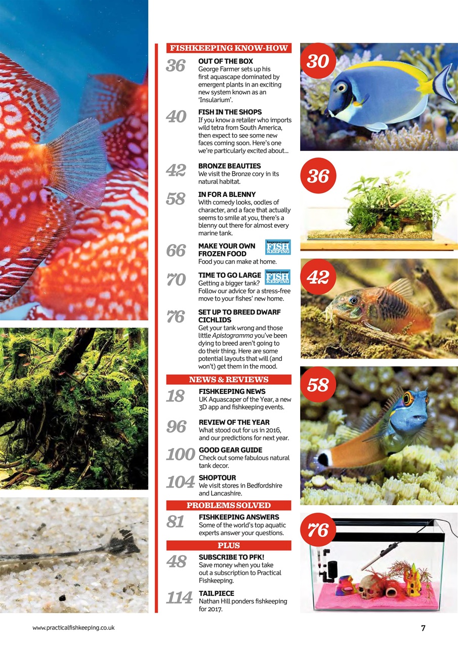 Practical Fishkeeping Preview Pages